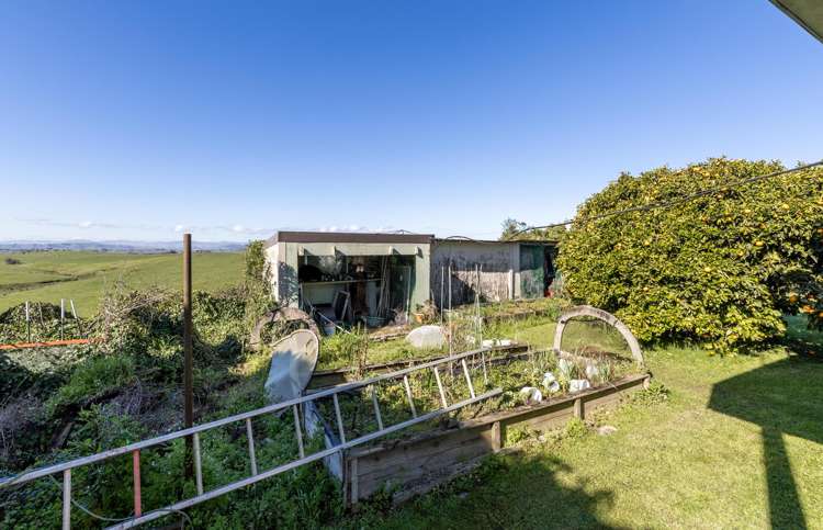 252 Whangamarino Road Te Kauwhata_24