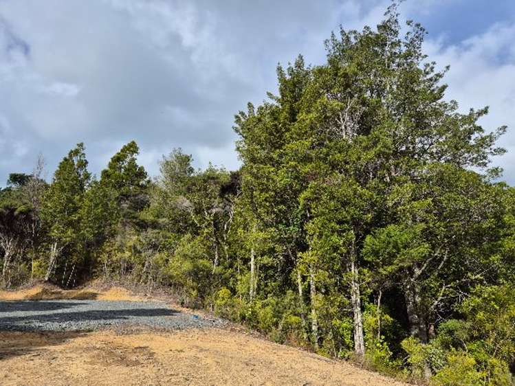 Lot 5 21 Waikawau Beach Road Little Bay_9