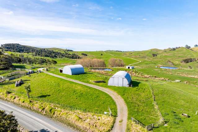 Dairy support - grazing - lifestyle