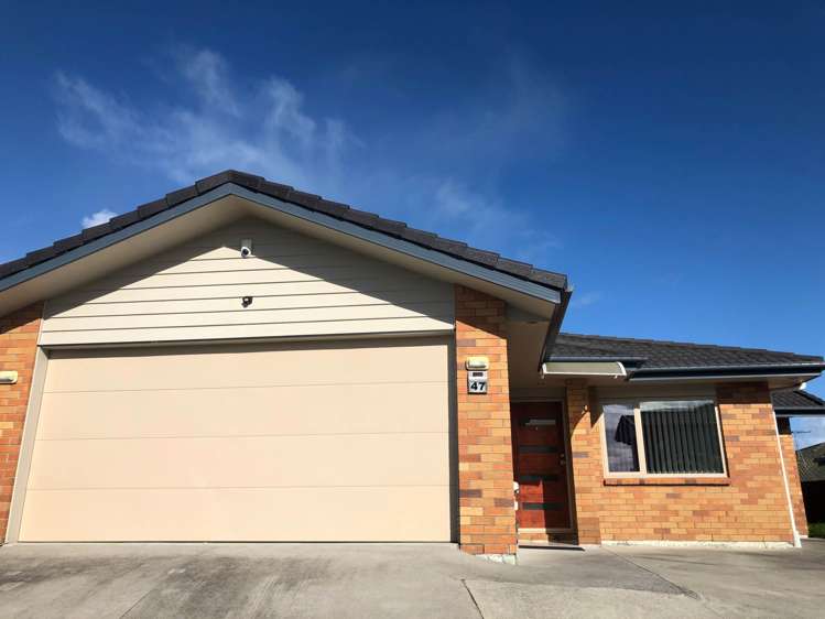 47 Mckittrick Avenue Flat Bush_0