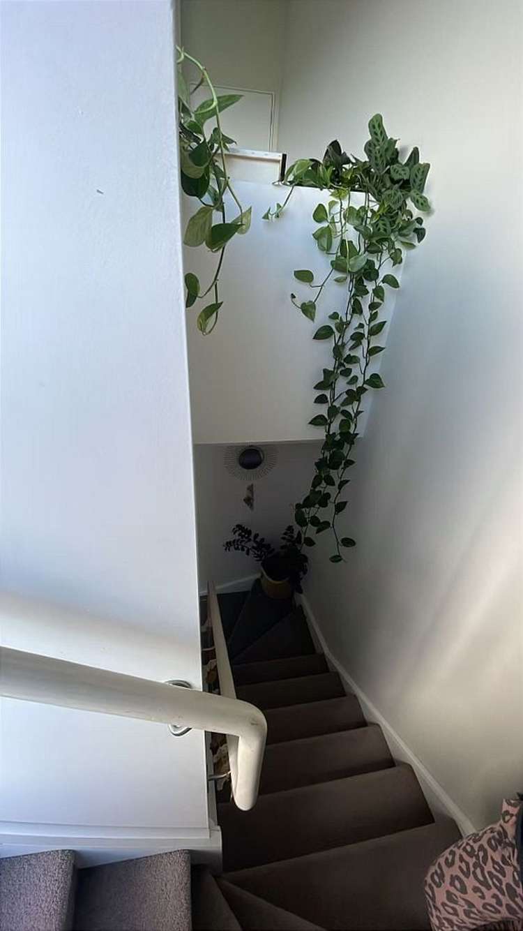 31 Lemon Tree Lane Flat Bush_5