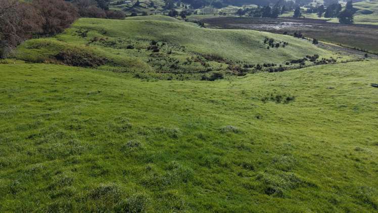 Lots 4,6&7 Masons Road Maromaku_8