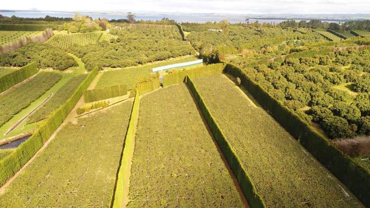 168 Ongare Point Road Hauraki Surrounds_8