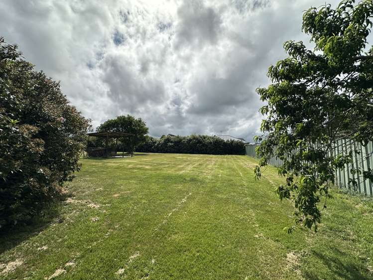 86 David Street Hinds_11