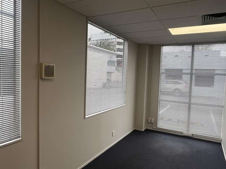 Unit 4 at 219 Collingwood Street Hamilton Central_7