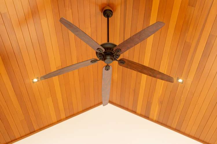 100 Condor Drive Pyes Pa_7