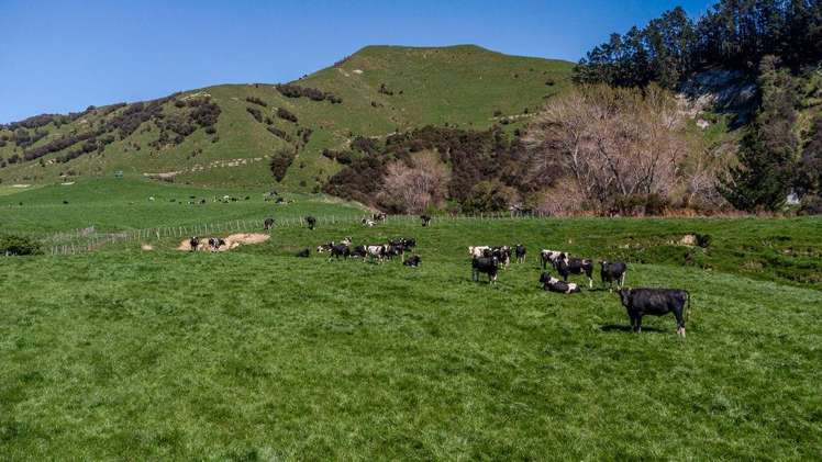 918 Pahiatua Pongaroa Road Pahiatua_11