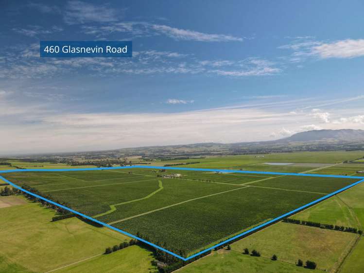 460 Glasnevin Road Amberley_1