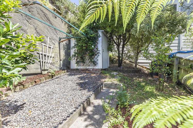 22 Edinburgh Terrace Berhampore_15