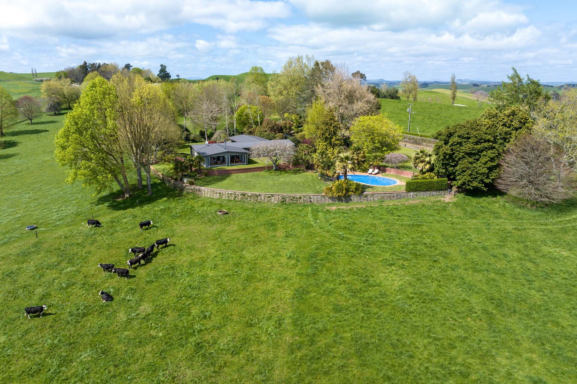 653 Overdale Road Putaruru_0