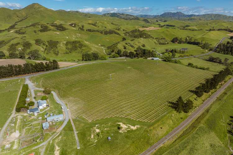 7797 State Highway 1 Ward_10