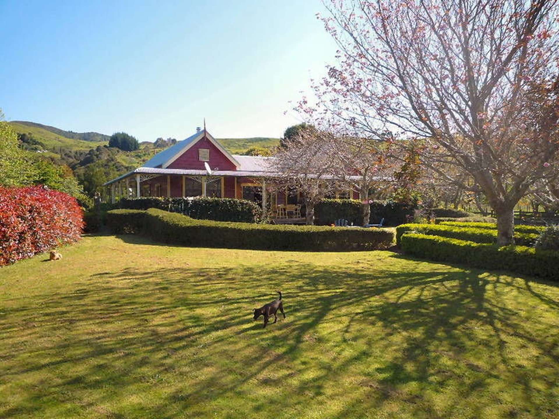 464 Rangihau Road Coroglen_0