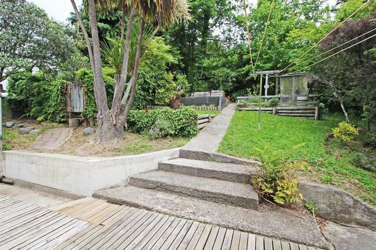 3 Tui Way Toi Toi_14