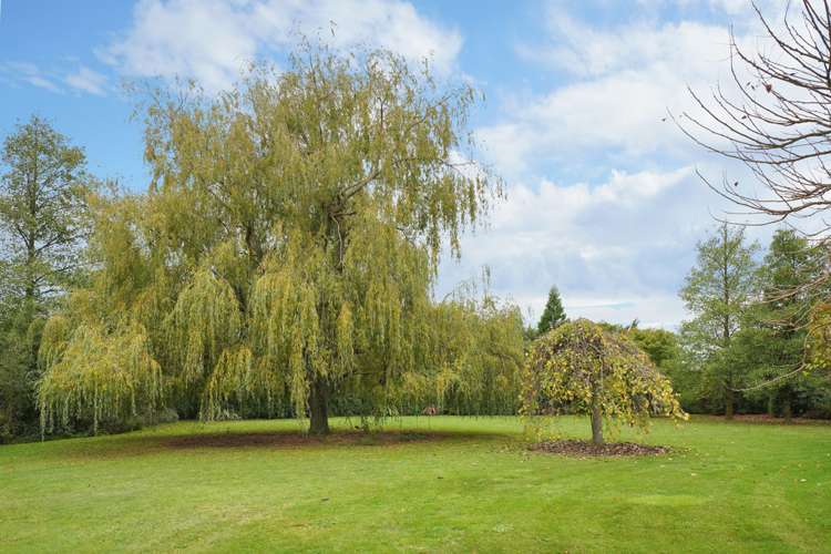 28 Max Wallace Drive Ashley_5