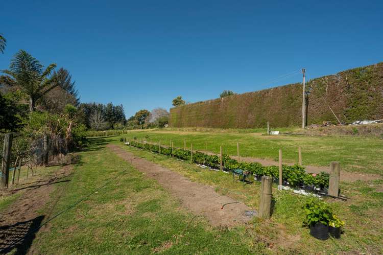 105 Jess Road Whakamarama_30