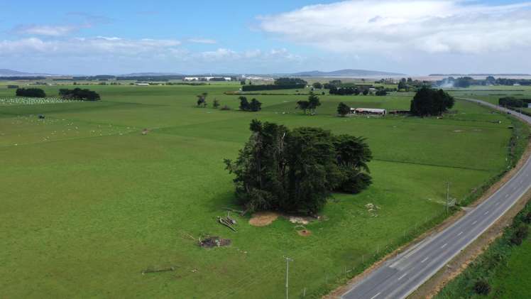 1233 Motu Rimu Road Woodend_6