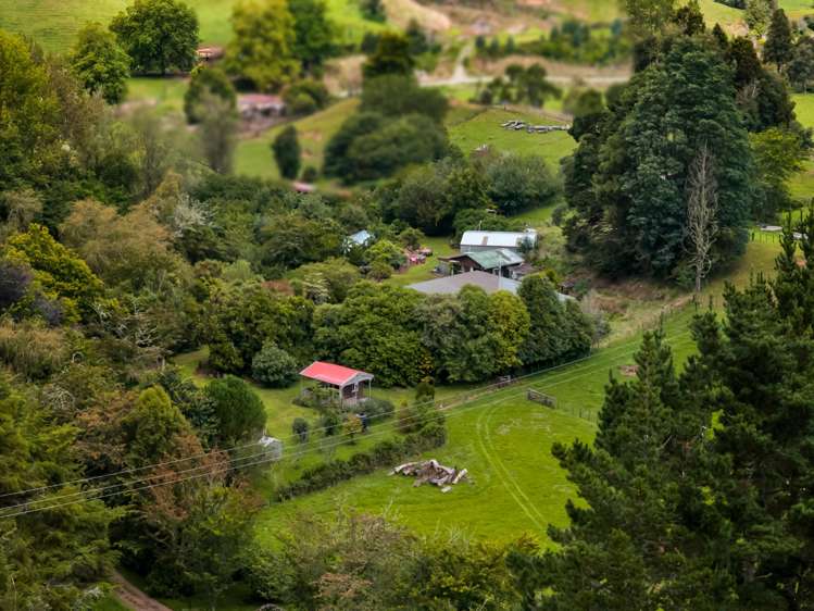 927 Mohakau Road Kiore_3