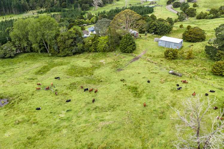 757 Opanake Road Parore Dargaville_52
