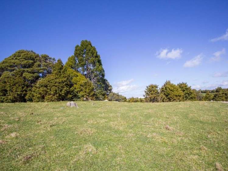 884 Kaiikanui Road Hukerenui and Surrounds_8