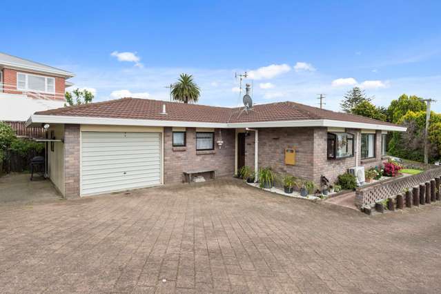 58a Esk Street Parkvale_1