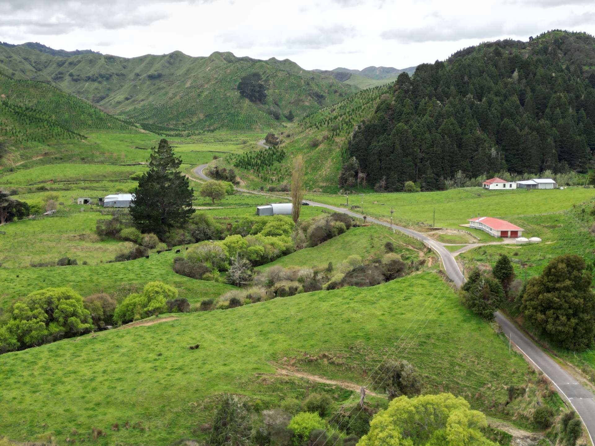 2560 Rawhitiroa Road Eltham_0