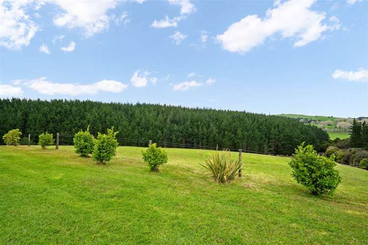 144 Moore Road Pipiwai_31