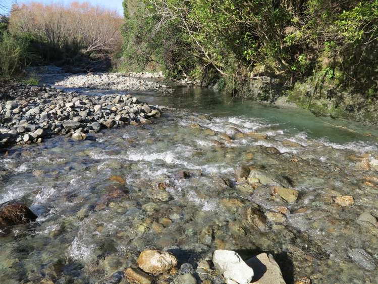 444 Aorere Valley Road Kahurangi National Park_18