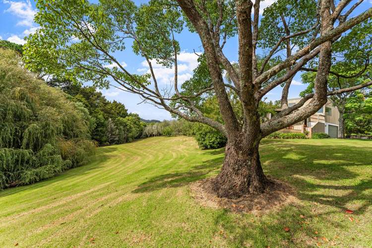 12 Wilson Road Warkworth_16