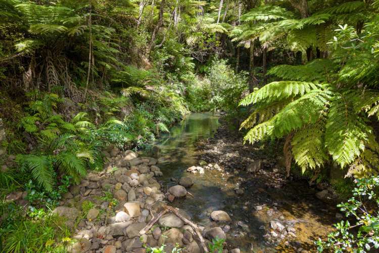 35 Whatipu Road Huia_3