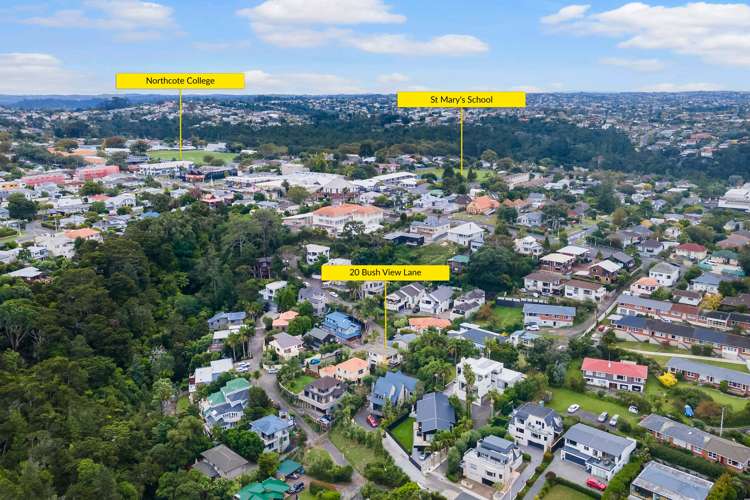 20 Bush View Lane Northcote Point_20