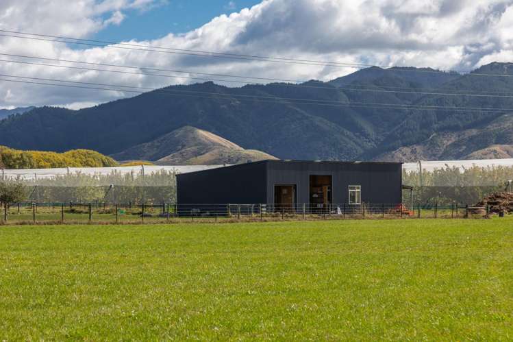 2154 State Highway 1 Spring Creek_19