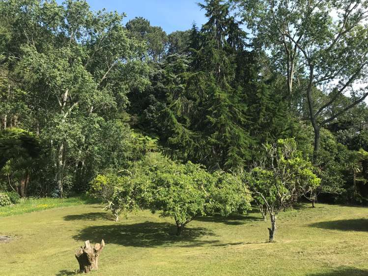 851 Purangi Road Cooks Beach_15