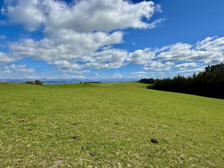 Lot 3 Fortification Road Weston_5