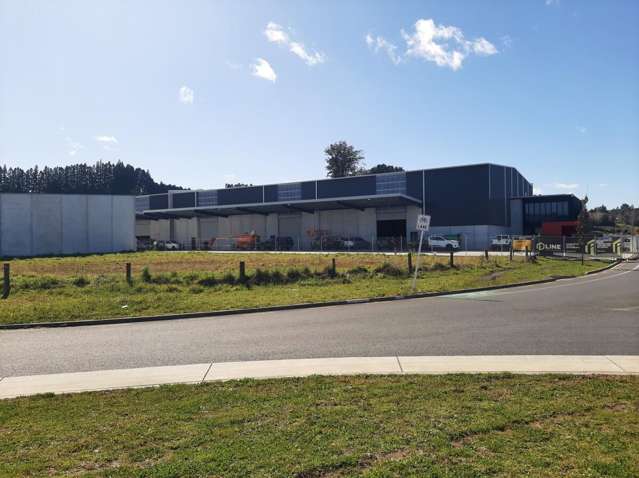 384 Taurikura Drive Tauriko_2