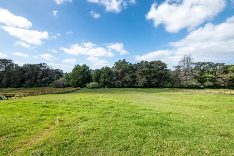 224b Bawden Road Dairy Flat_46