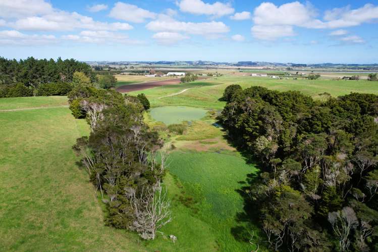 6320 State Highway 12 Dargaville_22