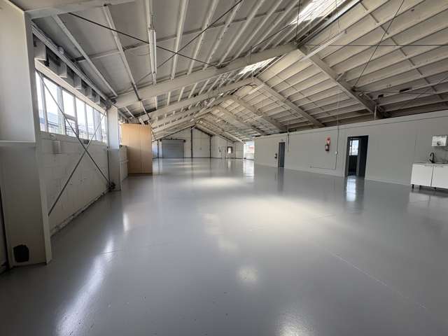 110 Orbell Street Sydenham_1