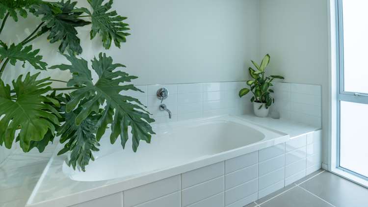 5a Sheridan Drive Rolleston_13