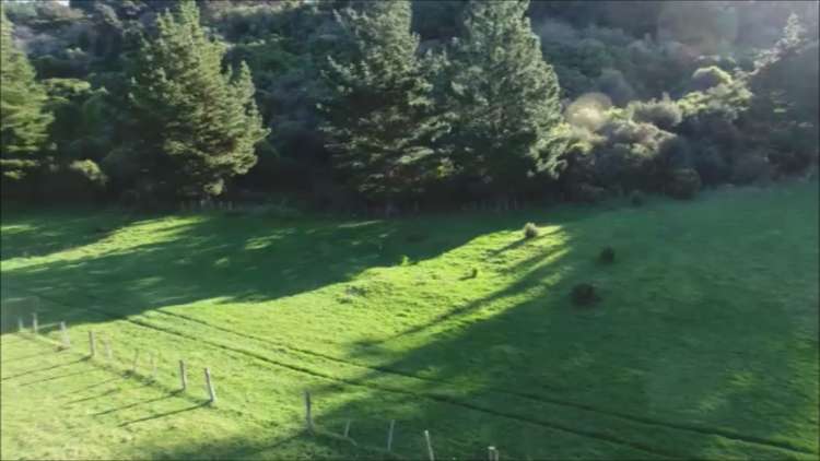 Harrison Street Featherston_5