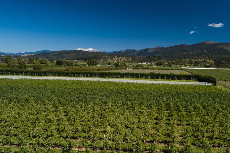 78 Main Road Lower Moutere Lower Moutere_29