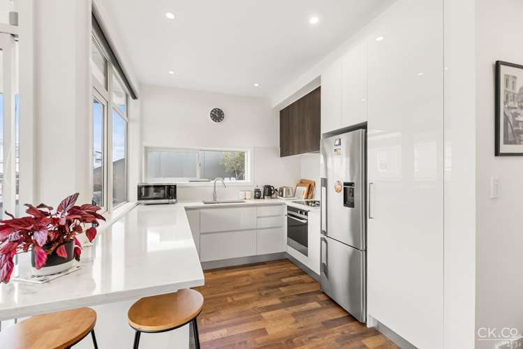 47 Richmond Street Petone_1