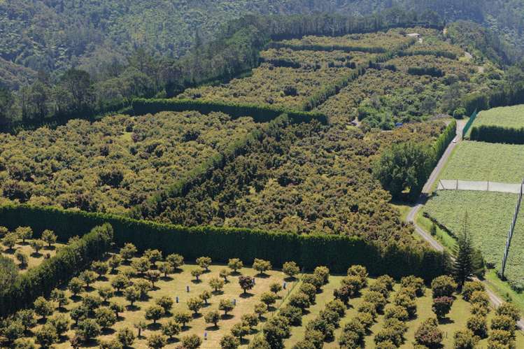 232C Williams Road North Pyes Pa_22