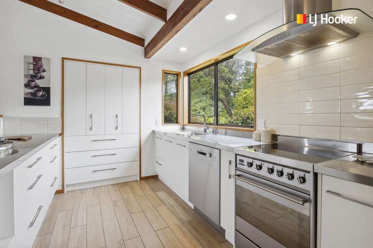 195 Larnach Road Waverley_8