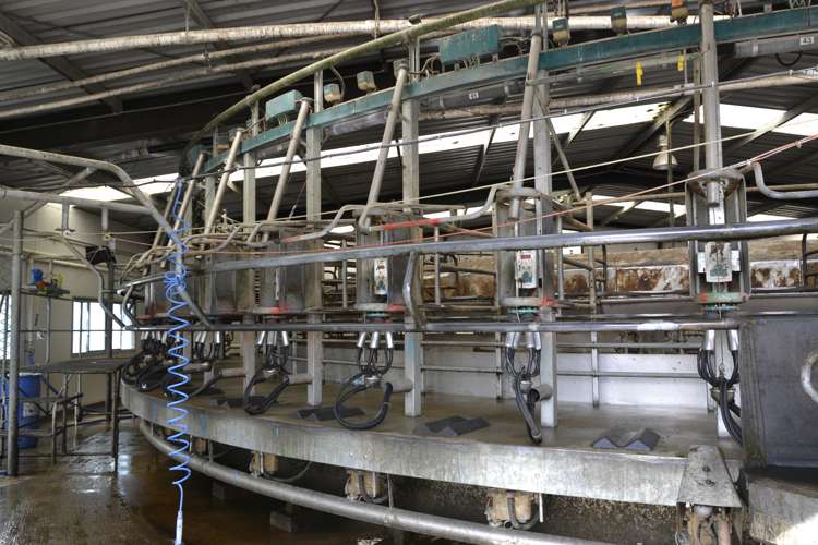 336 Mathesons Corner Road West Otago Surrounds_9