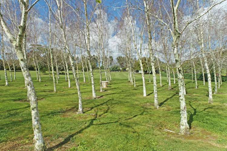 80a Blackbridge Road Karaka_27