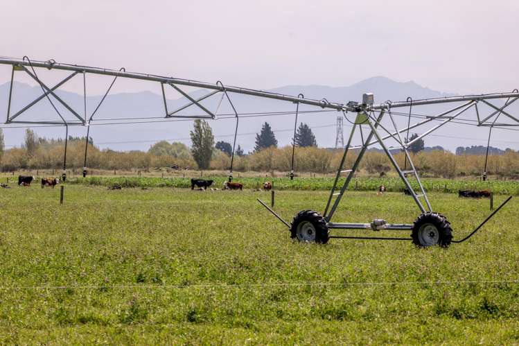 83 Highfield Road Dunsandel_25