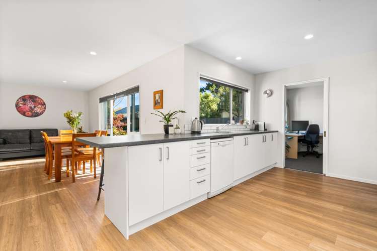 41a Winters Road Redwood_3