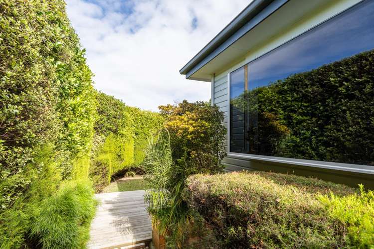 608 Albert Street Parkvale_6