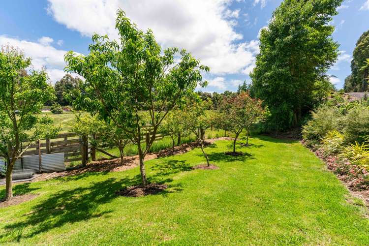 151b Palmer Mill Road Wairakei And Surrounds_37