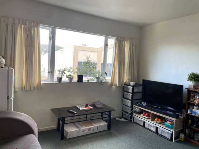 318/12 Martin Square Te Aro_1